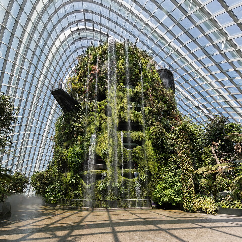 Cloud Forest