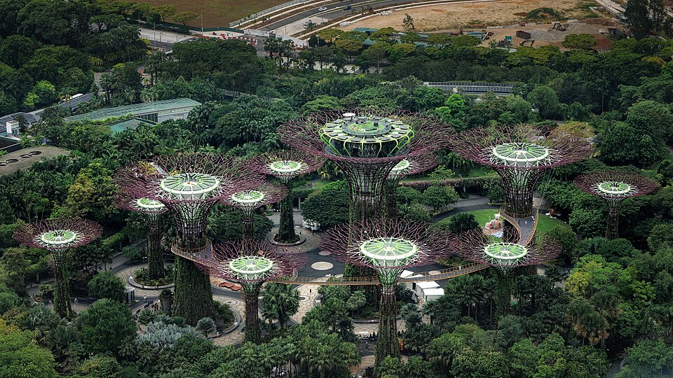 Supertree Grove
