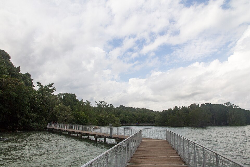Chek Jawa Wetlands